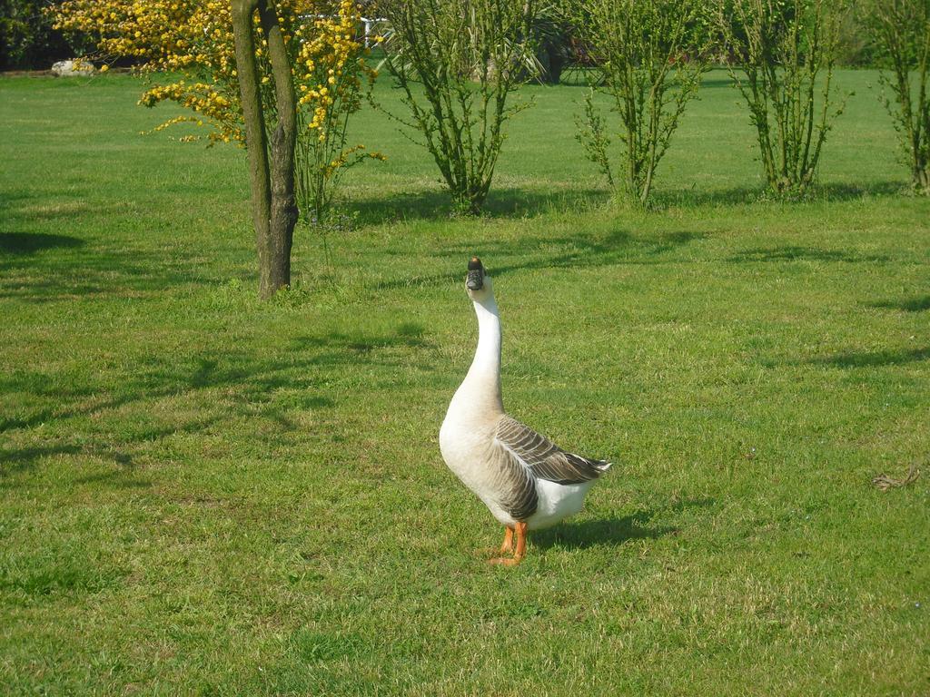 Agriturismo La Penisola Vendégház Campo San Martino Kültér fotó